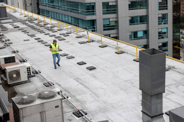  Bemidji, MN Roofing Service Pros