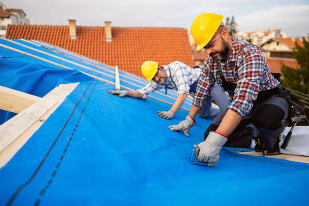 Best Rubber Roofing (EPDM, TPO)  in Bemidji, MN